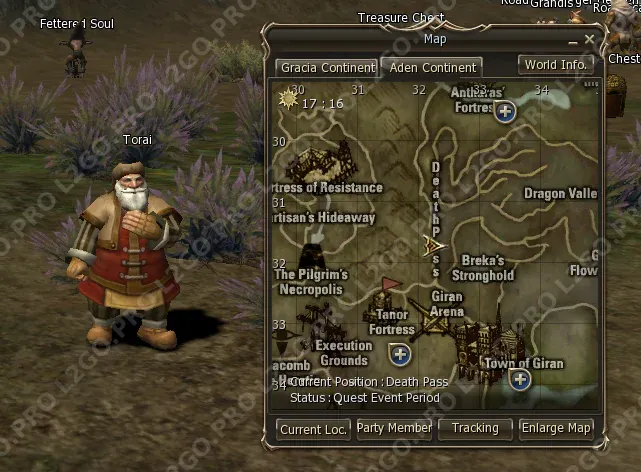 Path of the Scavenger — квест на 1 профу Спойлера / ВХ (Bounty Hunter) — Этап 10: Телепортируйтесь в Town of Giran. Идите по дороге (скриншот 1)
